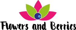 Neues Logo fertig