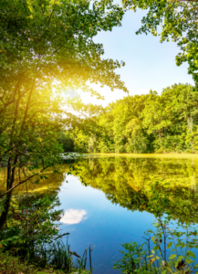 Bilder Blog hoch (1080 x 1400 px)(1) Self-Care mit Baby: Spaziergang in der Natur