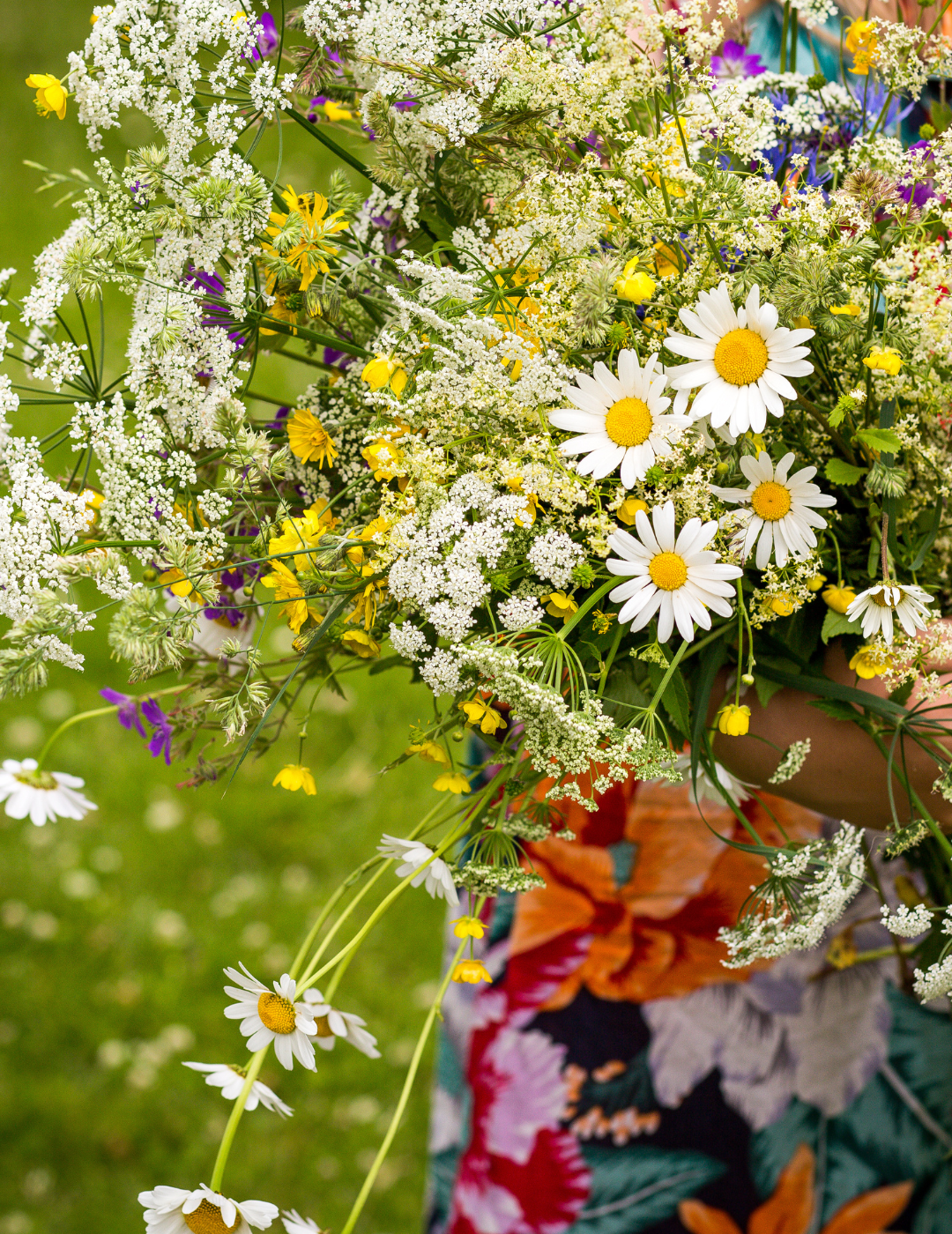 Rituale und Bräuche: Blumen und Kräuter sammeln