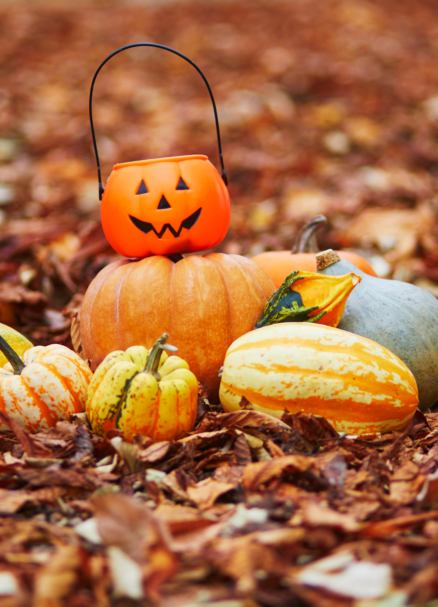 Blog Bilder hochkant(19) Samhain feiern
