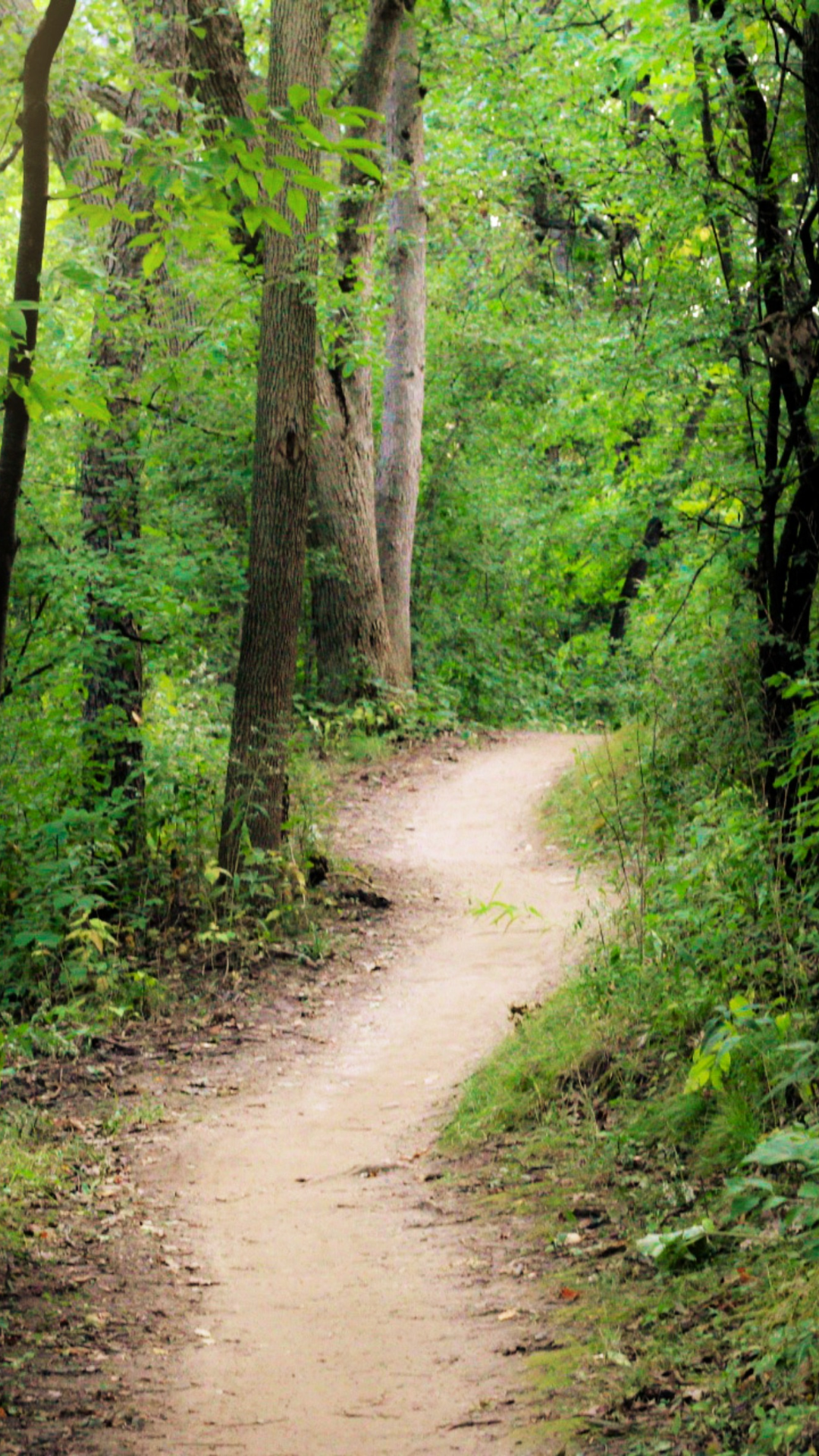 Zeit zurückholen: Klarheit schaffen