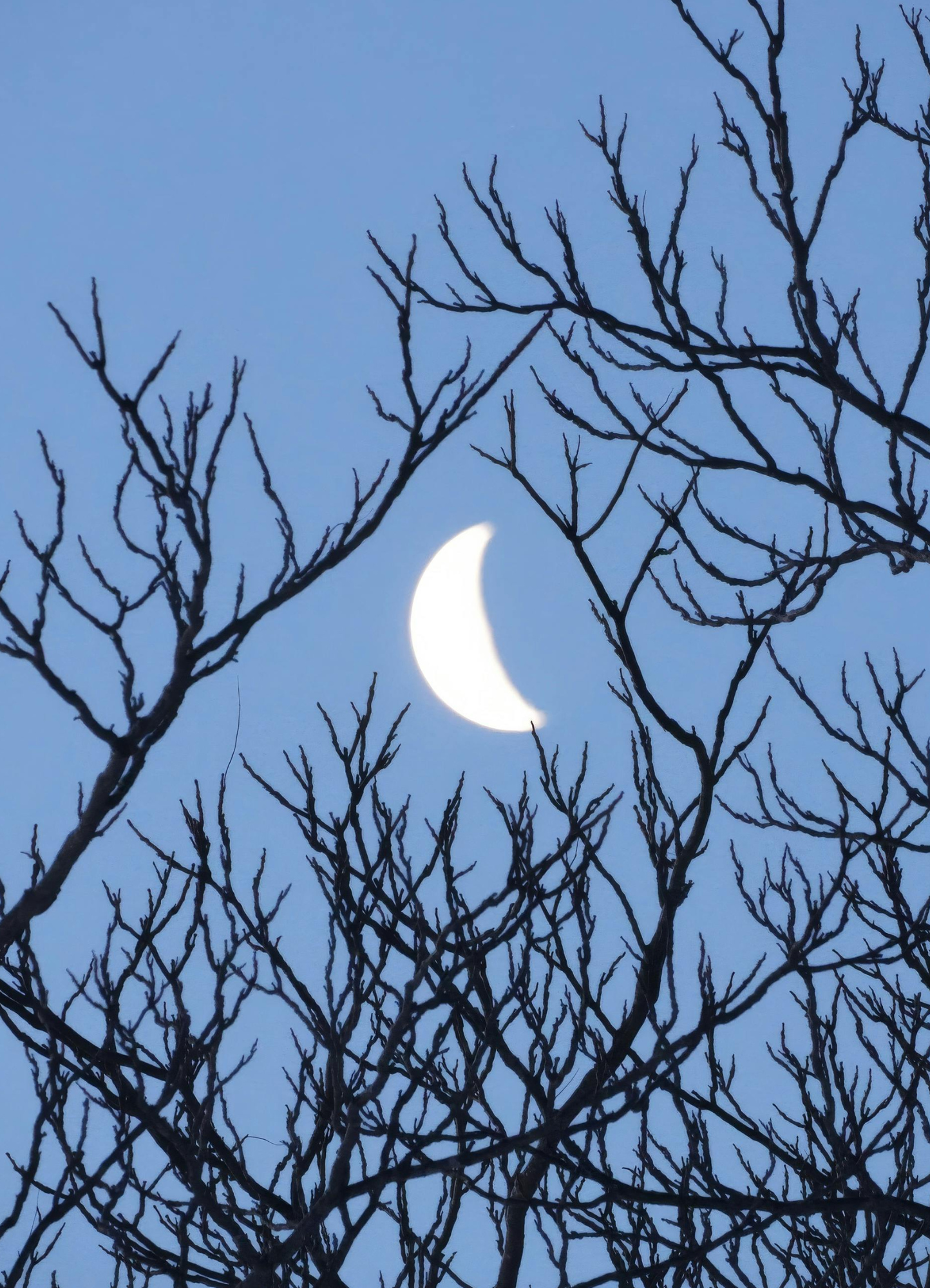 Mondphasen und ihre Bedeutung: Zunehmender Halbmond