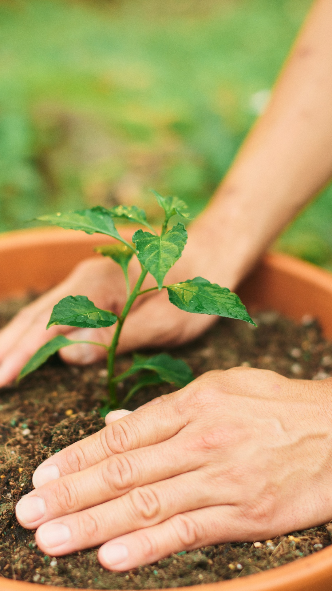 Bewusst spüren: Wie tasten und fühlen wir?